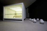 Caged Unicorn Depictions Image 4