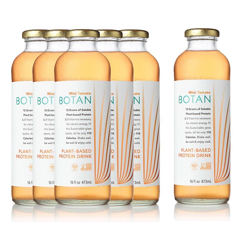Plant-Based Protein Drinks