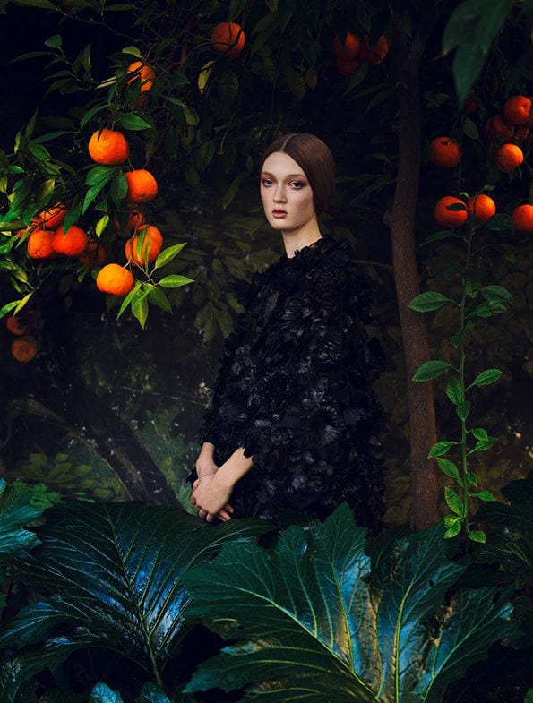 Refined Renaissance Lookbooks