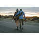 Desert Journey Lookbooks Image 8