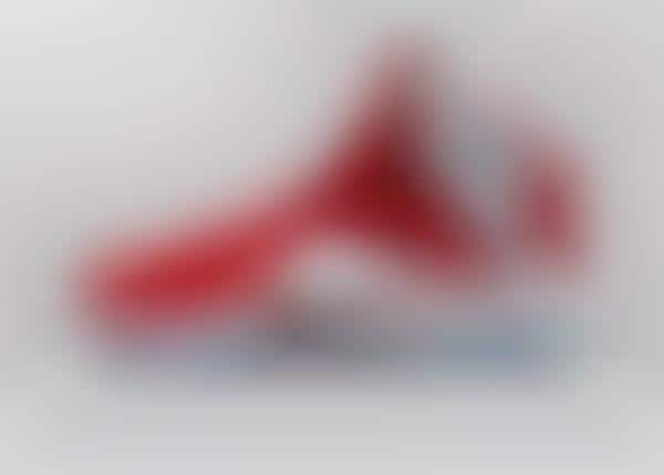 Lionhearted Basketball Shoes