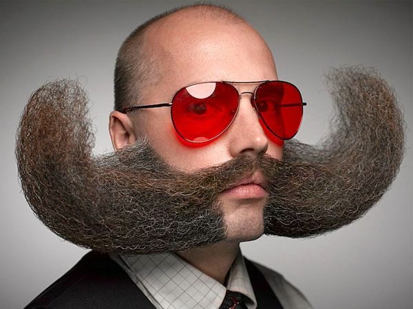 Top 30 Bizarre Trends in December