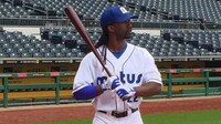 Protective Baseball Sleeves Image 2