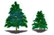 Wireless Christmas Lights