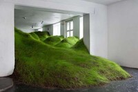 Grassy Indoor Installations Image 2