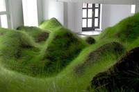 Grassy Indoor Installations Image 3