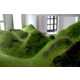 Grassy Indoor Installations Image 3