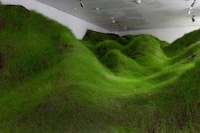 Grassy Indoor Installations Image 4