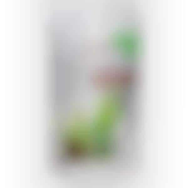 Organic Hemp Beverages