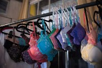 Data-Determined Lingerie Marketing Image 7