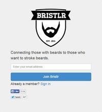 Beard-loving Social Networks Image 3
