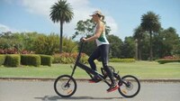 Running-Replicating Bicycles Image 2