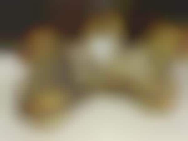 Cannoli Cronut Confections