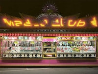 Captivating Carnival Photography Image 3