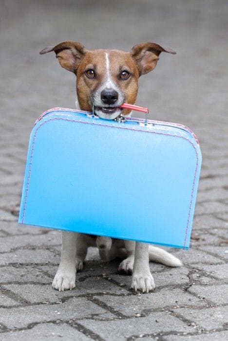 18 Travel Rewards Programs