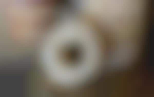 Confectionary Cereal Donuts