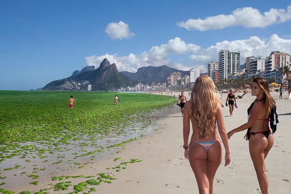 Top 100 Eco Trends of 2014