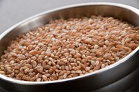 Ancient Heirloom Grains Image 2