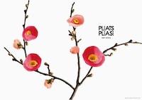 Floral Fabric Campaigns Image 2