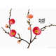 Floral Fabric Campaigns Image 2