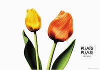 Floral Fabric Campaigns Image 3
