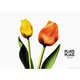 Floral Fabric Campaigns Image 3
