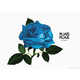 Floral Fabric Campaigns Image 4