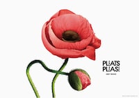 Floral Fabric Campaigns Image 5