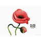 Floral Fabric Campaigns Image 5