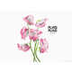 Floral Fabric Campaigns Image 6