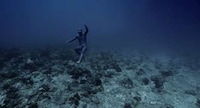 Surreal Scuba Diver Films Image 3