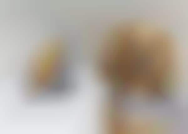 Weiner Dog Food Photography