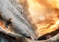 Electrifying Signature Boardshorts Image 2