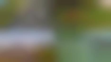Smart Eyewear Concepts