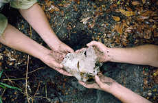 Kindred Spirit Photography