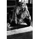 Couture Carefree Lookbooks Image 8