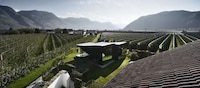 Camouflaged Glass Residences Image 6