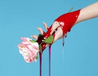 Snake Charmer Editorials Image 2
