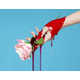 Snake Charmer Editorials Image 2