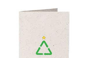 Recycled Evergreen Cards Article Thubnail