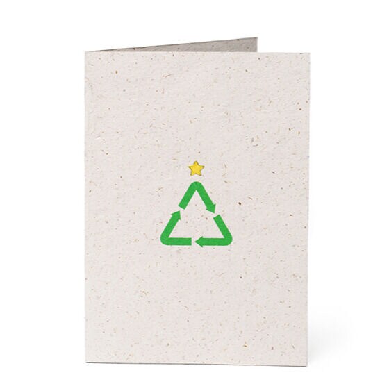 Recycled Evergreen Cards