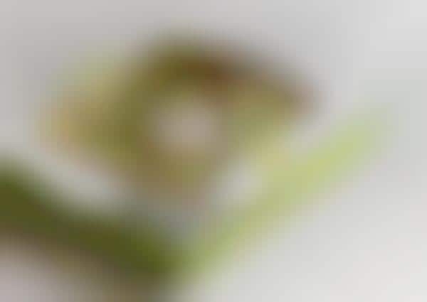 Dynamic Food Packaging