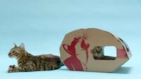 Sustainable Feline Homes Image 8