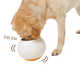 Overconsumption-Preventing Bowls Image 2