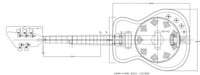 Guitar-Banjo Hybrids Image 6
