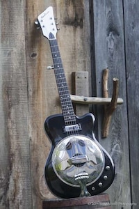 Guitar-Banjo Hybrids Image 7
