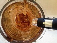 Miniature Termite Farms Image 6