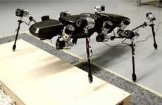 Stick Insect-Inspired Robots
