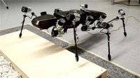 Stick Insect-Inspired Robots Image 2