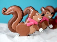 Woodland Squirrel Cookies Image 7